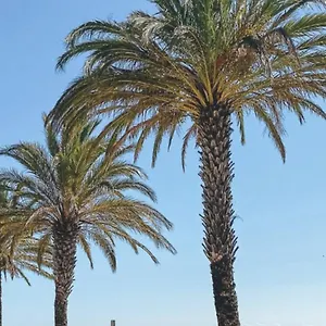 studio-plage.catalonia-hotels.com/